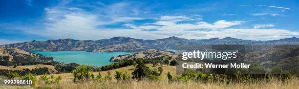 akaroa - werner stock pictures, royalty-free photos & images