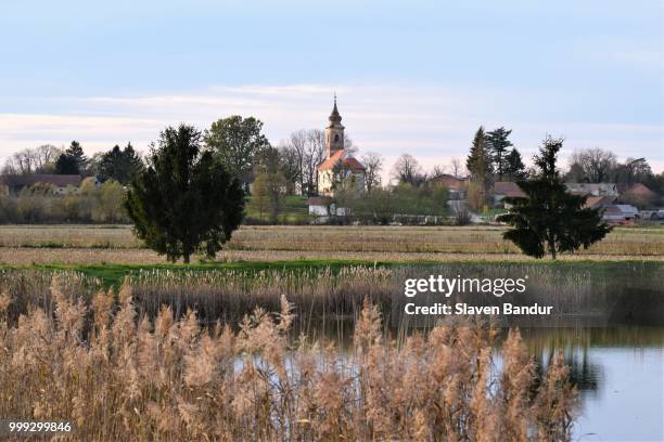 farkaševac,croatia - sklaven stock pictures, royalty-free photos & images