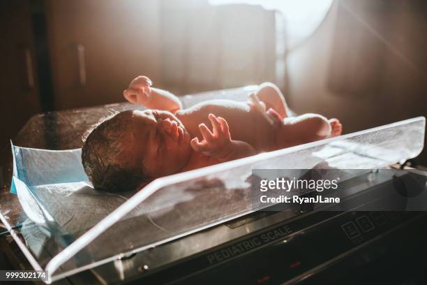 neugeborenes baby wird gewogen auf krankenhaus-skala - beam scales stock-fotos und bilder