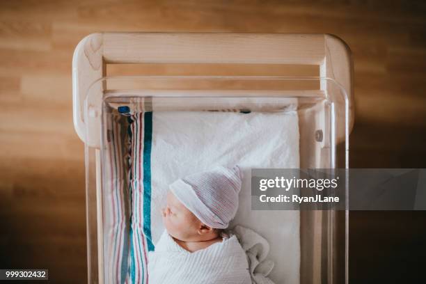 newborn baby sleeping in hospital bassinet - baby blanket stock pictures, royalty-free photos & images