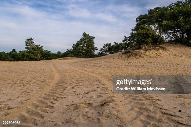 tire tracks - william mevissen stock pictures, royalty-free photos & images