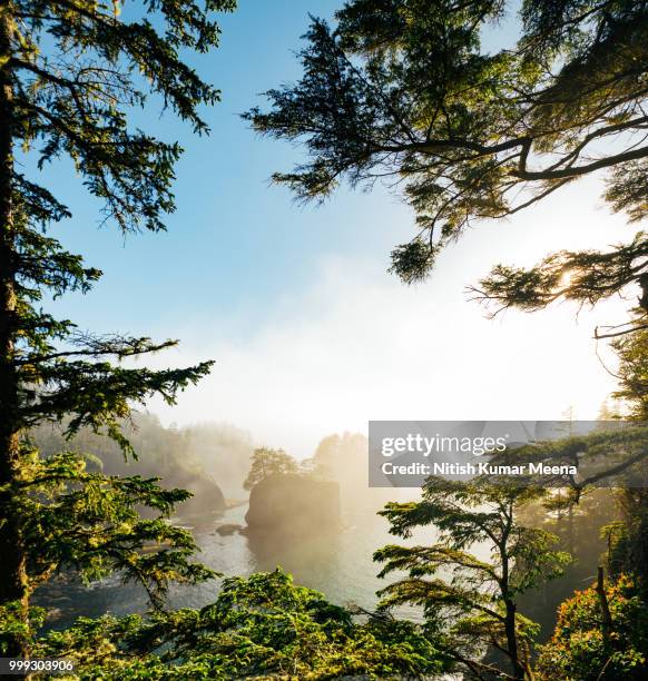 cape flattery *new blog post, link below* - cape flattery 個照片及圖片檔