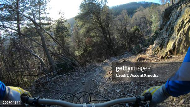 pov of mountain bike on trail in forest - extreme sports point of view stock pictures, royalty-free photos & images