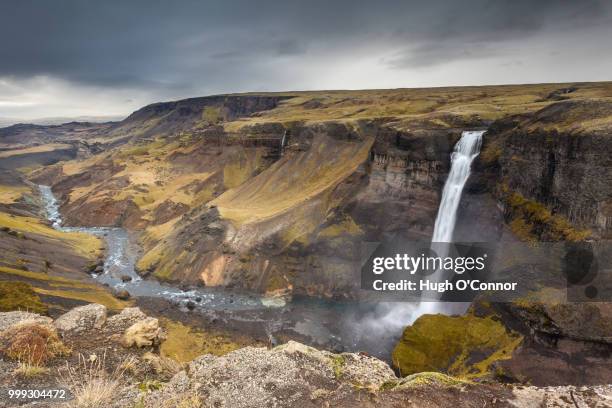 wild iceland - o’connor stock pictures, royalty-free photos & images