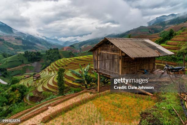 Mu Can Tea The Mu Photos and Premium High Res Pictures - Getty Images