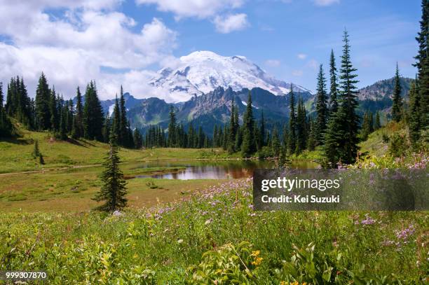 mt. rainier and cowlitz chimneys - kei 個照片及圖片檔