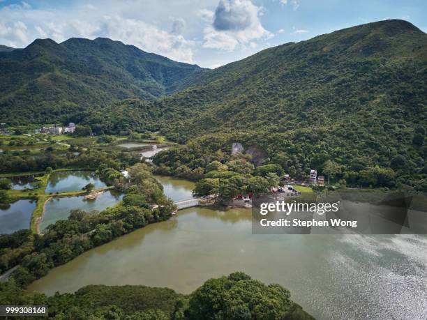 tai po - tai stock pictures, royalty-free photos & images