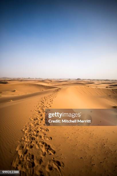 sahara foot prints (of ) - sahara stock pictures, royalty-free photos & images