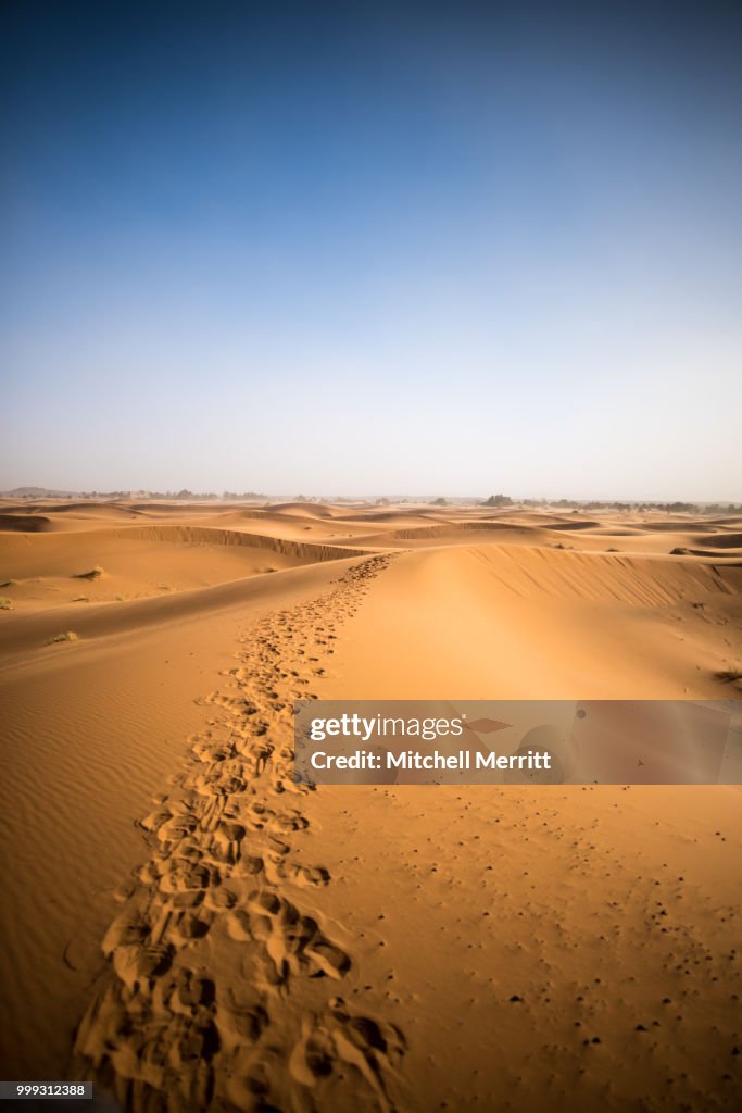 Sahara foot prints (of )