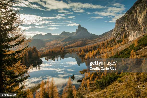 autunno al lago federa - lago reflection stock pictures, royalty-free photos & images