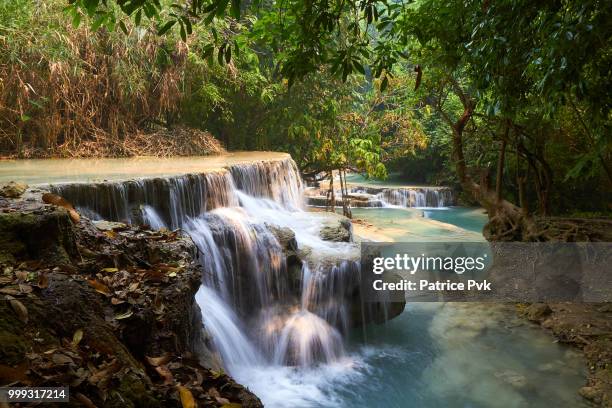 laos - tat kuang si waterfalls - tat stock pictures, royalty-free photos & images