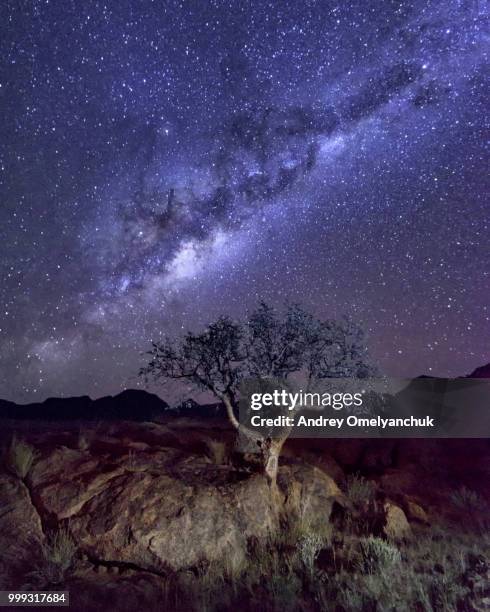 milky way and night sky of namibia - namibia sternenhimmel stock-fotos und bilder