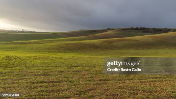 storm is coming - gallo stock-fotos und bilder