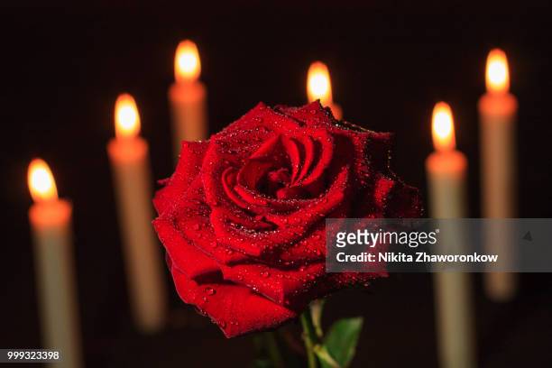 rose and candles - burning rose bildbanksfoton och bilder