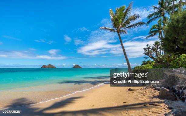 aloha from lanikai beach - aloha sand stock pictures, royalty-free photos & images