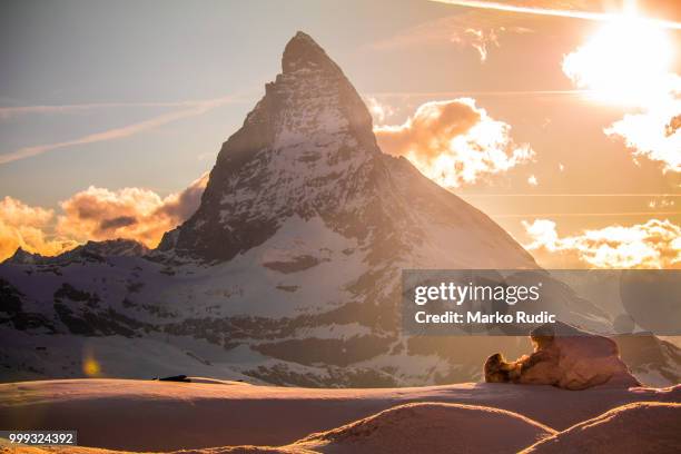 16 Marko Rudic Stock Photos, High-Res Pictures, and Images - Getty Images