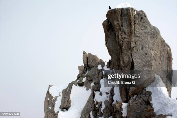 crows on top of aiguille du midi - midirock stock pictures, royalty-free photos & images