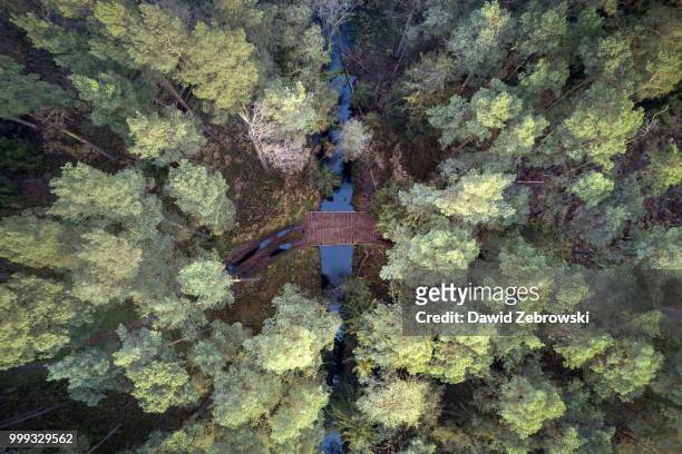 river aerial view. - undersea river stock pictures, royalty-free photos & images
