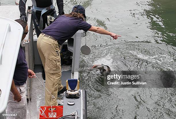 Navy personnel direct a trained U.S. Navy seal to find a hidden explosive device during a drill that is part of the Golden Guardian statewide port...