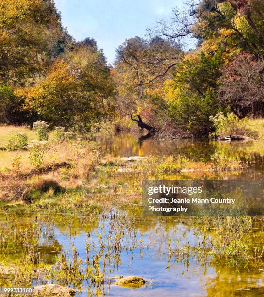 blue hole creek - jeanie stock pictures, royalty-free photos & images