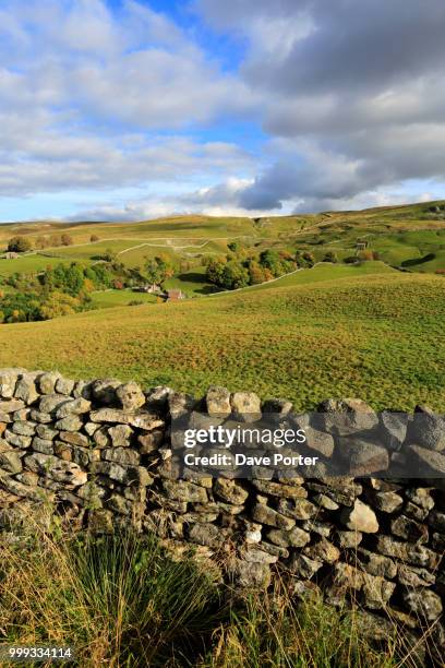 autumn colours; askrigg common; wensleydale; yorkshire dales; en - stone wall stock pictures, royalty-free photos & images