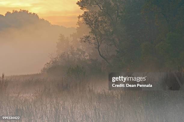 east lake sunrise in fog - east lake stock pictures, royalty-free photos & images