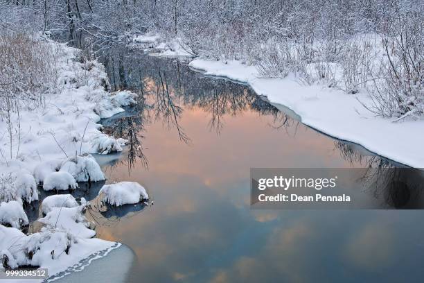 winter, tamarack creek - tamarack stock pictures, royalty-free photos & images