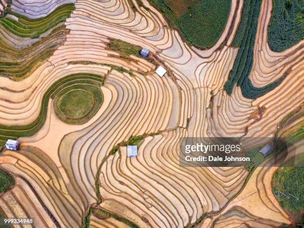 mu cang chai vietnam from above - chalcedony stock pictures, royalty-free photos & images
