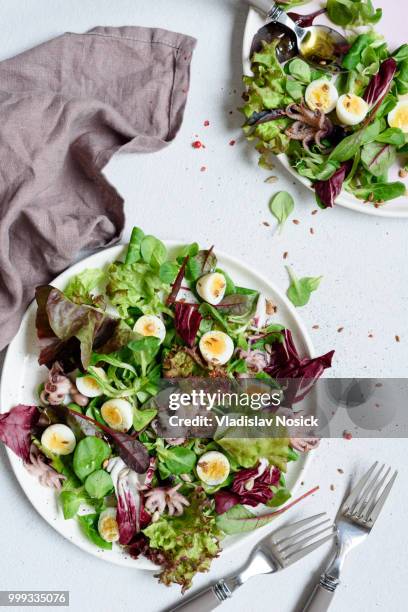 gourmet salad with seafood, quail egg and green salad leaf - seafood salad stock pictures, royalty-free photos & images