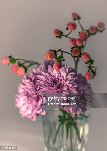 bouquet - hanna stockfoto's en -beelden