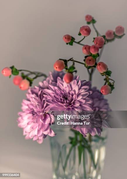 bouquet - hanna stock pictures, royalty-free photos & images