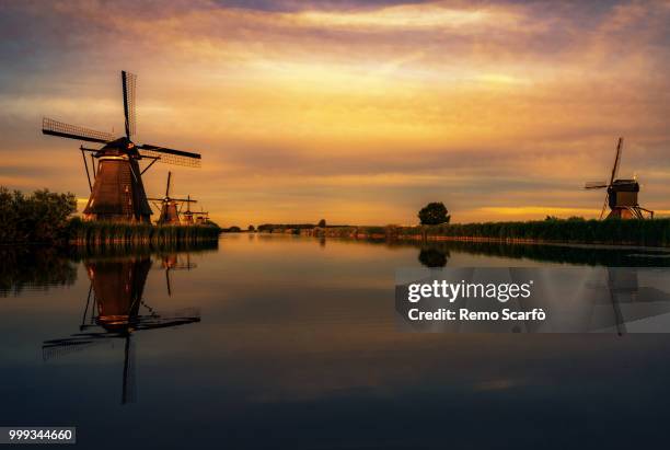 kinderdijk, holland - remo 個照片及圖片檔