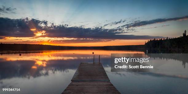 swim anyone? - jetty stock pictures, royalty-free photos & images
