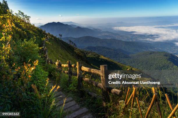 kio mae pan nature trail at doi inthanon. - the kio stock pictures, royalty-free photos & images