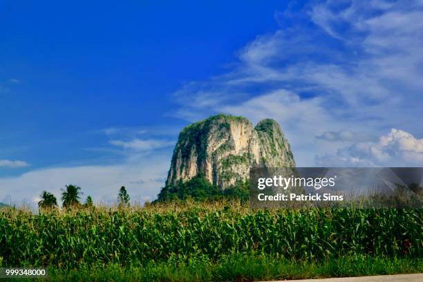 Mount Sims Mount Sims Photos and Premium High Res Pictures - Getty Images