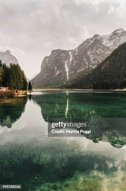 toblacher see - matita stock pictures, royalty-free photos & images