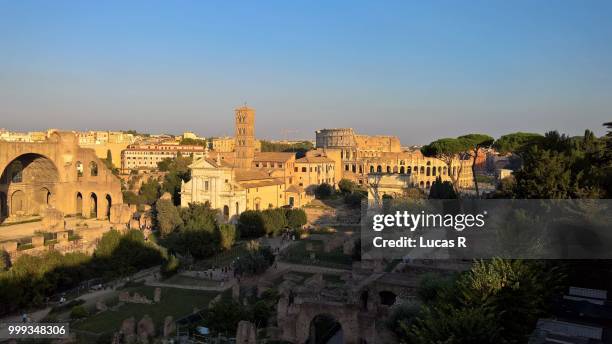 palatine hill - palatine hill stock pictures, royalty-free photos & images