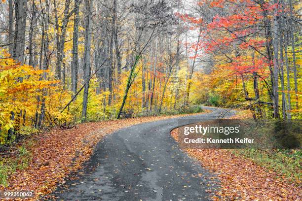 autumn curves - keiffer stock pictures, royalty-free photos & images