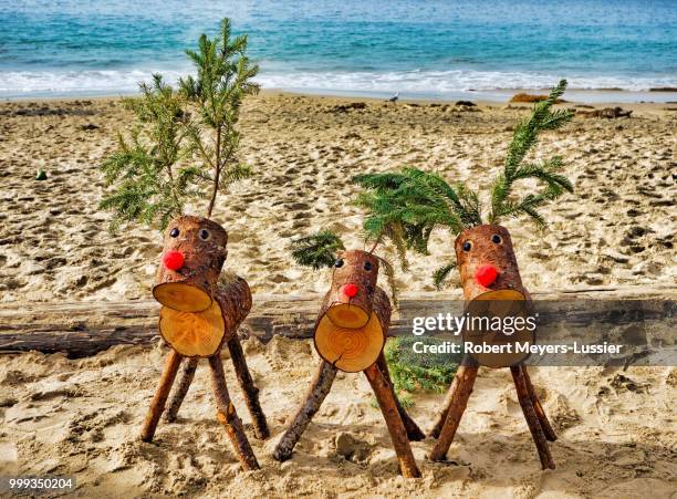 three reindeer on a beach - meyers stock pictures, royalty-free photos & images