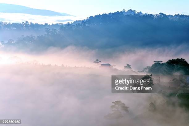 foggy - dung stock pictures, royalty-free photos & images