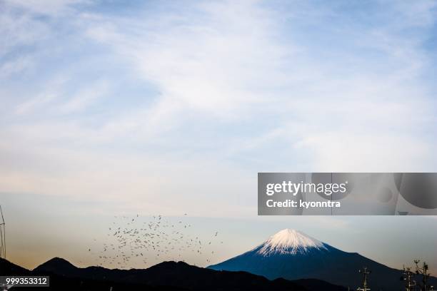 mt. fuji and bird - kyonntra stock pictures, royalty-free photos & images