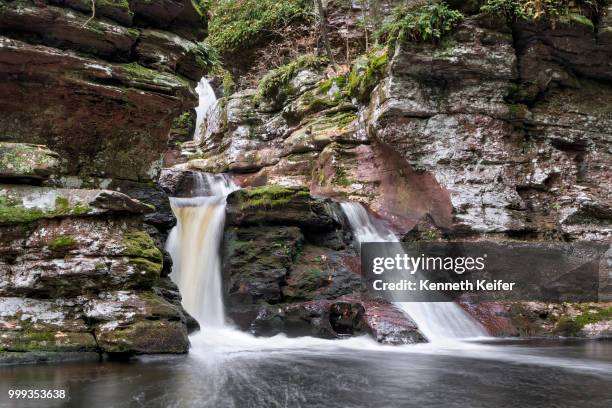 lower adams falls - keiffer stock pictures, royalty-free photos & images