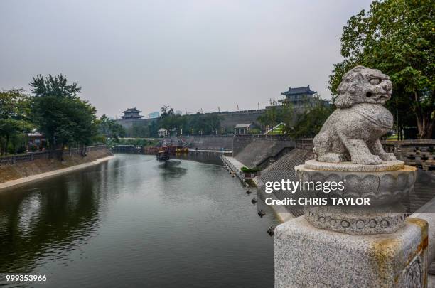 xi'an river - animal representation stock pictures, royalty-free photos & images