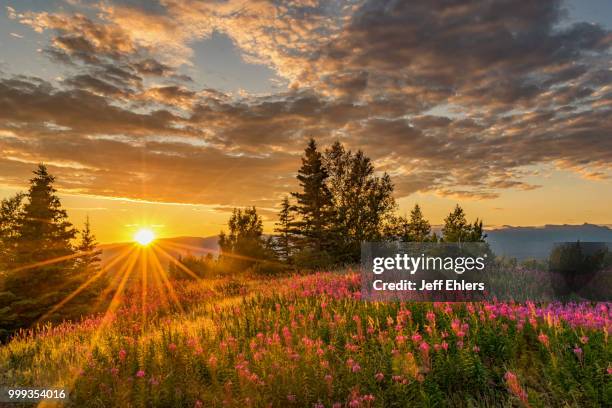 mountain top sunset - ehlers stock-fotos und bilder