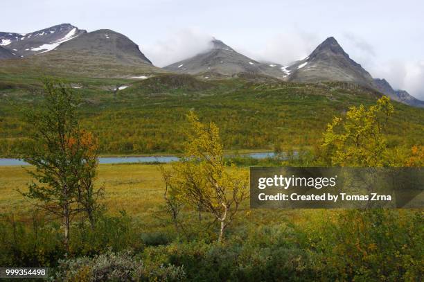autumn landscape of the remote rapadalen valley - norrbotten province stock pictures, royalty-free photos & images