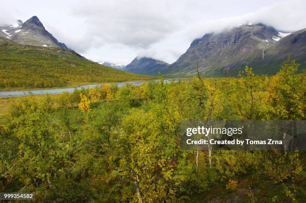 autumn landscape of the remote rapadalen valley - norrbotten province stock pictures, royalty-free photos & images