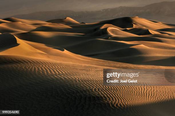 golden dunes - geist stock pictures, royalty-free photos & images