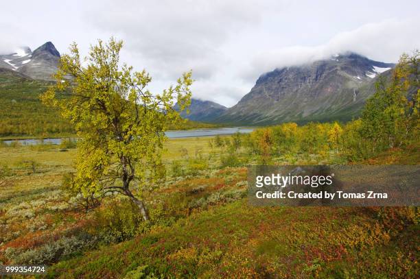 autumn landscape of the remote rapadalen valley - norrbotten province 個照片及圖片檔