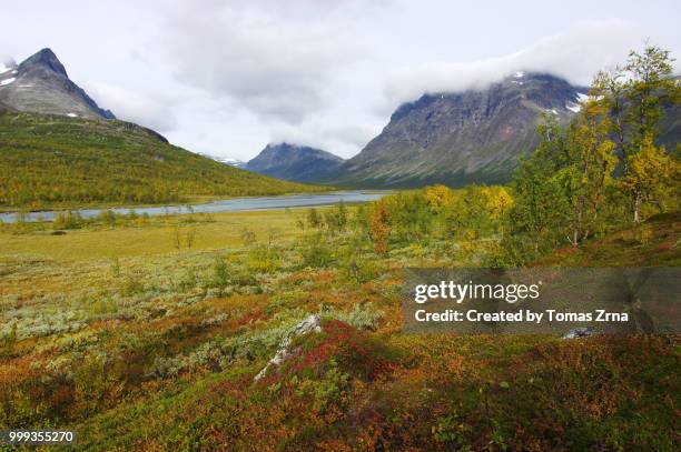 autumn landscape of the remote rapadalen valley - norrbotten province 個照片及圖片檔