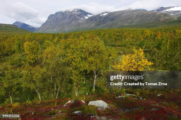 autumn landscape of the remote rapadalen valley - norrbotten province stock pictures, royalty-free photos & images